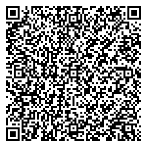 Связной Лебедянь Интернациональная ул, дом 14 контакты qr
