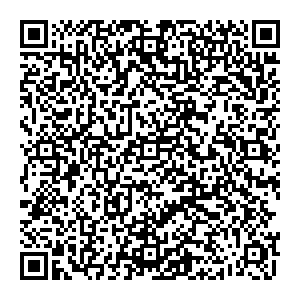Техносила Ленинск-Кузнецкий Телефонная ул., д.13 контакты qr