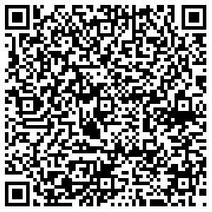 Теле2 Звенигово ул. Пушкина, 53 контакты qr