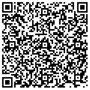 Теле2 Самара Революционная, 133 контакты qr