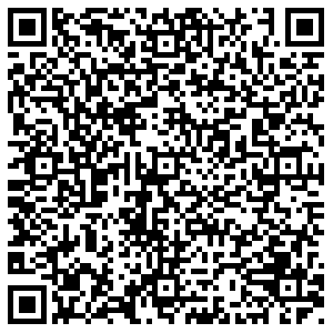 Теле2 Воронеж 9 Января, 231/8 контакты qr