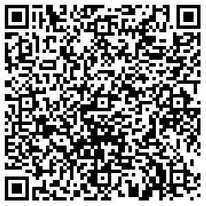 Теле2 Воронеж 9 Января, 132 контакты qr