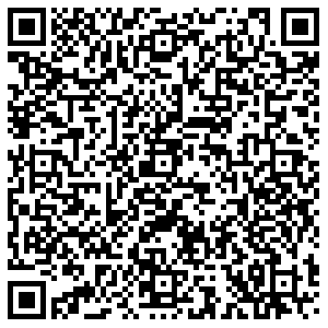 Теле2 Березовский Анучина, 3 контакты qr