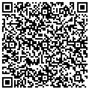 Тинькофф банк Воронеж Шишкова, 72 контакты qr