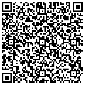 Тиссот Москва Красная площадь, 3 контакты qr