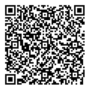 Tochitos Пермь ул. Ленина, 60 контакты qr