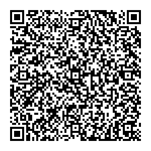 Триколор ТВ Кингисепп ул. Воровского, д.17 контакты qr