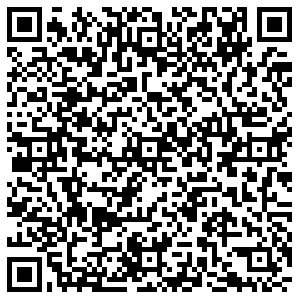 Умелец Вологда Северная, 22 контакты qr