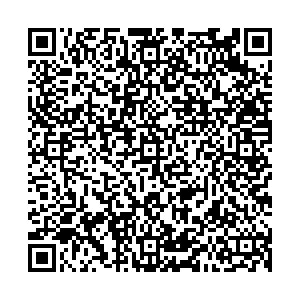 Велл Челябинск Гостевая, 3 контакты qr