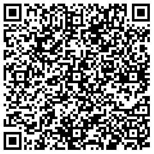 Вита Экспресс Самара Мичурина, 114 контакты qr