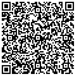 Вита Экспресс Самара Лесная, 33 контакты qr