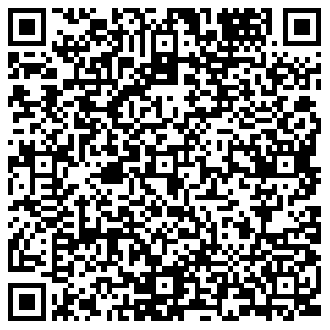 Вита Экспресс Липецк Ворошилова, 3 контакты qr