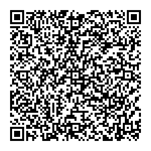 Восток-Сервис Борисоглебск УЛ. МАТРОСОВСКАЯ, 95 контакты qr