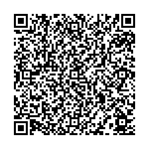 Восток-Сервис Пермь УЛ. ЛОДЫГИНА, 55 контакты qr