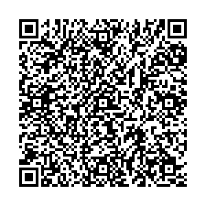 Восток-Сервис Тула УЛ. КИРОВА, 133 контакты qr