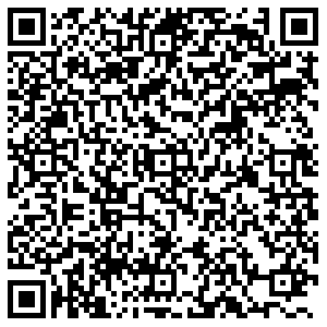 Золотой Коряжма Ленина, 25 контакты qr