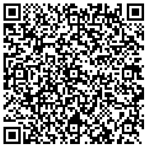 Золотой Борзя Советская, 4 контакты qr