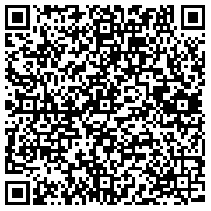 Золотой Серов Ленина, 173 контакты qr